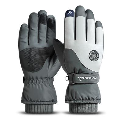 China Touch Screen Winter Outdoor Sports Warm Water Repellent Fleece Lining Ski Gloves Touch Screen Training Gloves for sale