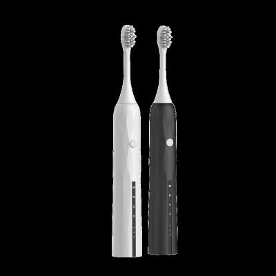 China Protable China Manufacture Portable Rechargeable Sonic Electric Toothbrush With Slim Stand IPX7 Waterproof One Electric Toothbrush for sale