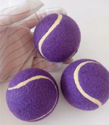 China Squeaky Tennis Balls for Large or Small Dogs and Puppies - Dog Training Toys for Positive Reinforcement for sale