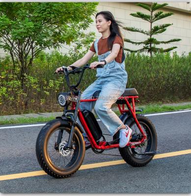 China Aluminum alloy UK USA EUR warehouse store electric scooter ebike drop shipping 750W 1000W fat tire off road electric bike mountain for adult for sale