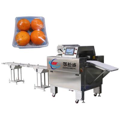 China Automatic Food Stretch Plastic Film Food Cling Wrapping Machine For Vegetable And Fruit for sale