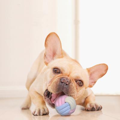 China Viable Type New Product Dog Bite Dog Cotton Tennis Rope Molar Chew Resistant Toy Small and Medium Explosion Type for sale