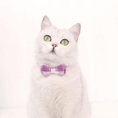 China Quickly release a variety of cool colors plaid collar pet bow tie bell collar pet accessories for sale