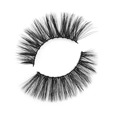 China Fluffy|Light|Easy to Apply High Quality Magnetic Eyelash Kit Magnetic Bulk Dual Wicks Canneslash Manufacturer DFC20-ONLYCANAS for sale