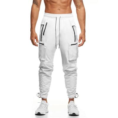 China New Design Anti-Wrinkle Sports Pants For Men Overalls Turkey Color Quick Dry Men Training Pants for sale