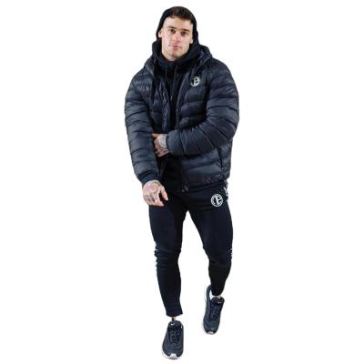 China New Sustainable Fitness Sports Cotton-padded Great Coat Autumn And Winter Plus Size Running Hooded Cotton-padded Jacket for sale