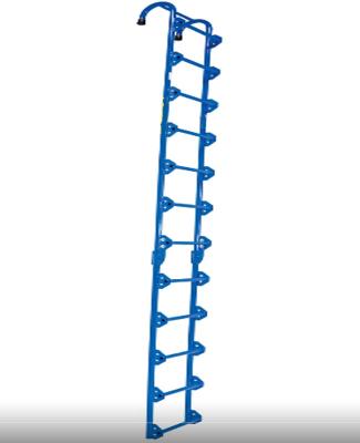 China Industrial Tank Access Ladder for sale