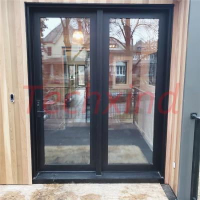 China Front Double Others Doors With Front Secure Single Metal Double Wrought Iron Cheap Decorative Glass Side Lights for sale