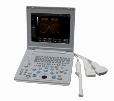 China LX-BW-L1A Private Clinic China Ultrasound Portable Laptop Ultrasound Machine Laptop Ultrasound Scanner for sale