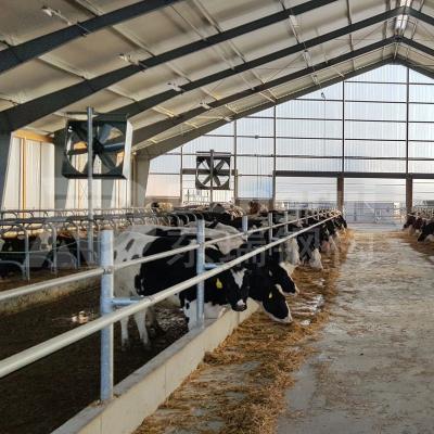 China House Welding Connection Steel Structure Steel Frame Fabricated Farm Building Poultry House for sale