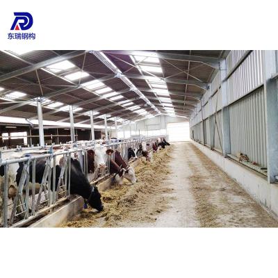 China Steel Structure Poultry Light Frame Steel Structure Poultry Farm Shed Design Prefab Poultry House for sale