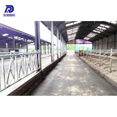 China Steel Structure Poultry Buildings Steel Structure Design Agricultural Poultry Farm Shed For Layer for sale