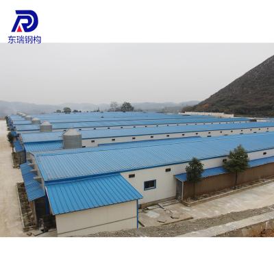 China Industrial Low Cost Steel Chicken Farm Poultry Shed House For 10000 Chickens for sale