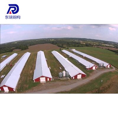 China Steel Structure Industrial Lightweight Poultry Shed Designs Poultry House For 10000 Chickens for sale