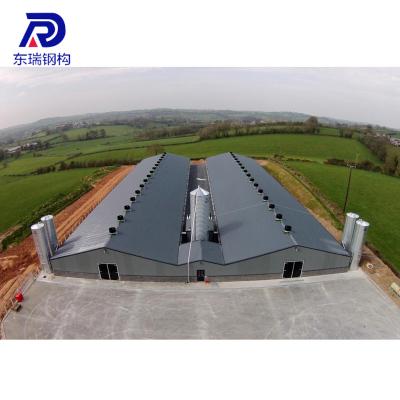 China Industrial Poultry Freestanding Design Farm Building Steel Poultry House For 10000 Chickens for sale