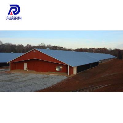 China Industrial Steel Structure Farm Poultry Shed Construction Chicken Poultry House for sale