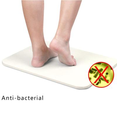 China Sustainable Waterproof Raw Environmental Protection Diatomite Bath Mat For Bathroom Floor Mat for sale