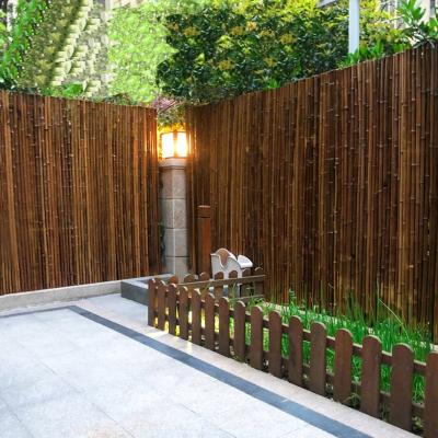 China Minimalist Carbonized Gramineae Bamboo Screen Fence Shed Lucky Gi Carbonization Process Gramineae High Temperature Anti-Corrosion Fargesia for sale