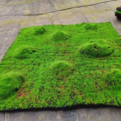 China Simulation artificial green moss wall moss wall moss artificial lawn plant wall window green plant fake decorative moss for sale