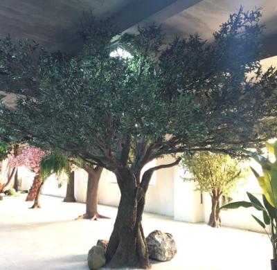 China Tree For Wholesale Large Fiberglass Plastic Fake Trunk Decor 15ft 4.5m Olive Artificial Tree for sale