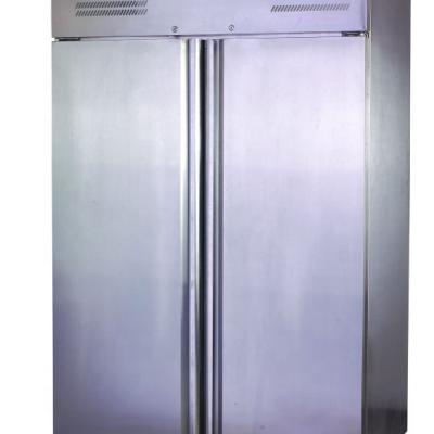 China Canton Cryogenic Freestanding Double Doors Single-Temperature Portable Freezer Frost for sale