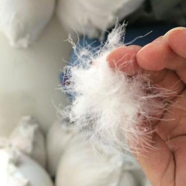 China White goose down 5% white goose down 95% goose feather washed duck down, EN standard for sale