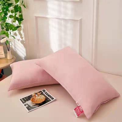 China Small anti-static pillow for the living room 100% bamboo filling pillow for sale