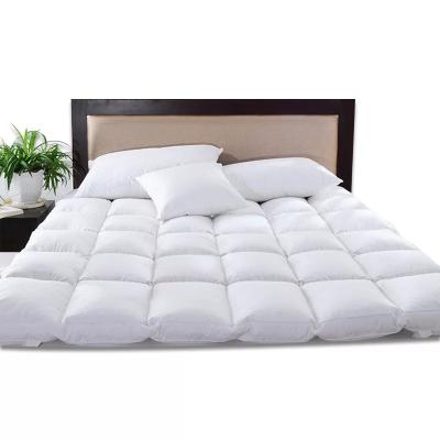 China Factory Sale New Design Home Warm Waterproof Mattress Protector White Furniture Protector Mattress With Cotton Cover for sale