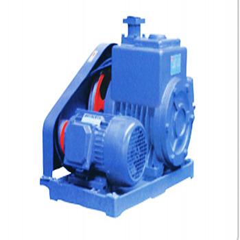 China Biofuel Industry Blue Vane Double-stage Rotary Electric Vacuum Pump Booster Pumps CHEMICAL PUMPS for sale