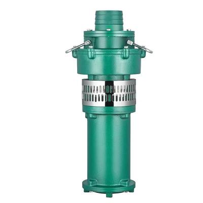 China Irrigation Developing World Water Solutions 3HP Industrial Farmland Oil Immersion Pump Large High Lift Aquaculture High Flow for sale