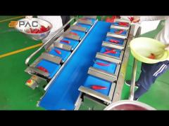 12 Belt Combination Weigher