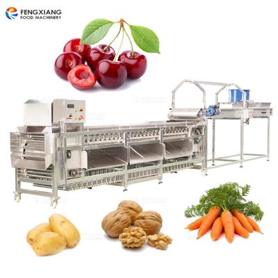 China Automatic Potato Cherry Carrot Tomato Walnut Walnut Sorting and Grading Machine for sale