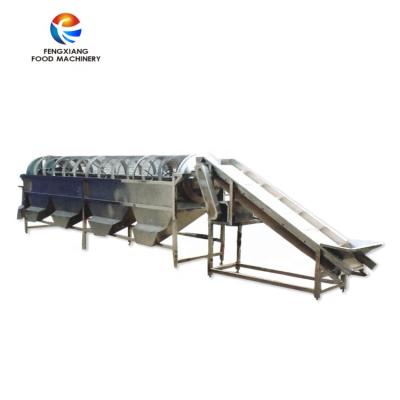 China Nongrade Speed ​​OG-505 Roller Type Sorter Taro Strawberry Asparagus Grading Machine for sale