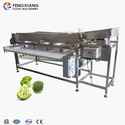 China Hotels Vegetable Fruit Grading Machine Broccoli Sorting Potato Sorter Machine for sale