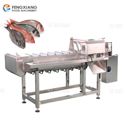 China High Efficiency Easy Operate Length Adjustable Automatic Fish Cutting Cutting Machine Fish Tail Head Cutter for sale