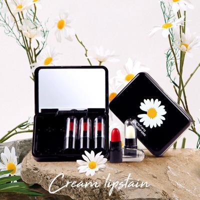 China Mini Lipstick Lips 5Pcs/Set Daisy Matte Waterproof Capsule Cosmetic Lipstick Easy To Carry Travel Make Up Sunscreen Tube for sale