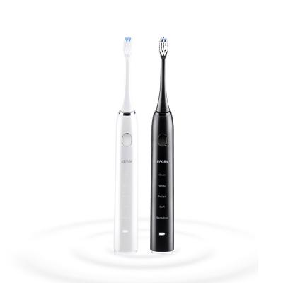 China New Arrival High Quality Rechargeable Waterproof Sonic Electric Toothbrush CMYN0001 for sale