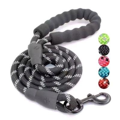 China Personalized Large Improved Strong Climbing Thoughtful Nylon Rope Dog Leash for sale