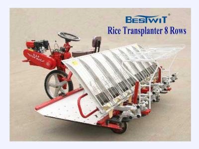 Chine Transplantoir de riz, 2Z-8300B modèle, transport de riz plantant la machine. à vendre