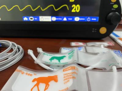 China Equipo de monitoreo de signos vitales de 15 pulgadas Multiparámetro para paciente veterinario en venta