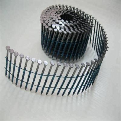 China Flat Coil Nails 2.3x50mm (2