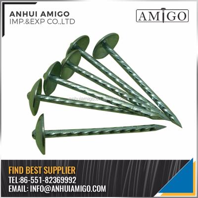 China SMOOTH/TWISTED STEEL LEG ELECTRO GALVANIZED UMBRELLA ROOFING NAILS for sale