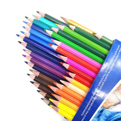 China Eco-friendly Promotional Pencil Factory Price 36 Color Private Label Oil Based Pastel Wood Adult Color Pencil Drawing Set For Adult Coloring for sale