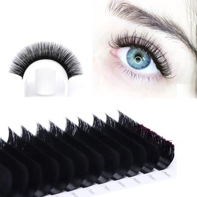 China Manufacture Light Wholesale Factory Supply Cheaper Price Individual Eyelash Extension Flat Lashes for sale