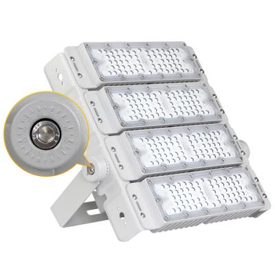 China Sports stadiums factory price 100w 100 watt 150w 200w led flood light tunnel light for sale