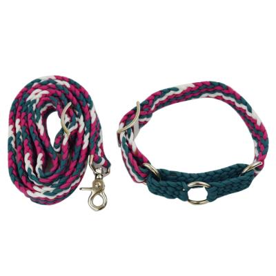 China Pet Products Stocked Martingale Personalized Braided Rope Lead Slip Lead Dog Collar Set Dog Collar and Leash for sale