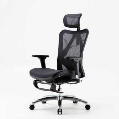 China Sihoo M57B Office Mesh Chair 2021 Ergonomic Office Chair 2d Headrest Adjustable Ergonomic High Back Mesh Chair Office Chair for sale