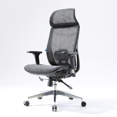 China M21 Sihoo Hign Design Adjustable Hot Sale Swivel Full Mesh Black Color (Height) Executive Office Chair for sale