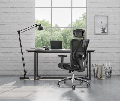 China Sihoo Latest Hot Selling Adjustable Hot Design M18 (Height) High Quality Modern Swivel Base Mesh Back Adjustable Soft Feeling Office Computer Chair for sale