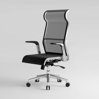 China 2021 Best Office (Height) Chair SIHOO Adjustable Mesh Steel Frame Chair Black Ergo Chairs for sale